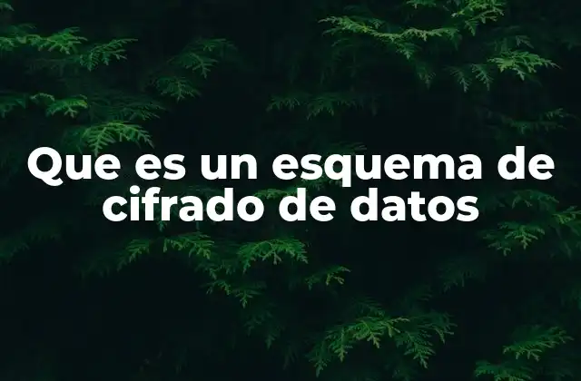 Cómo funcionan los mecanismos de protección de la información