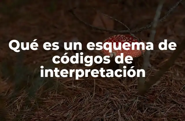 Cómo estructuran los esquemas de códigos la información cualitativa