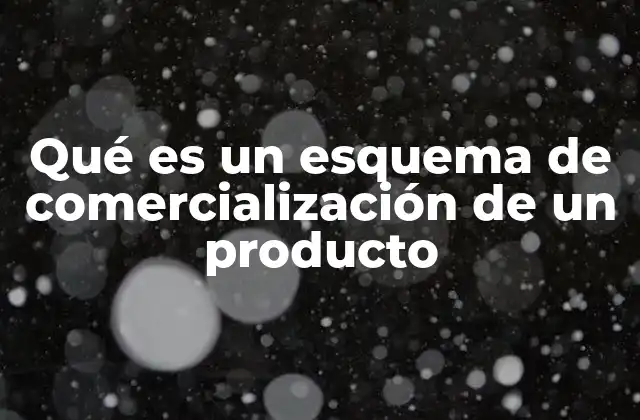 Componentes clave del proceso de comercialización