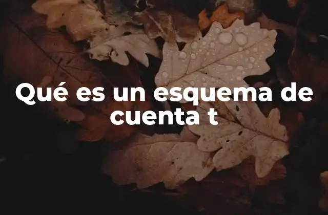 Qué es un Esquema de Cuenta T