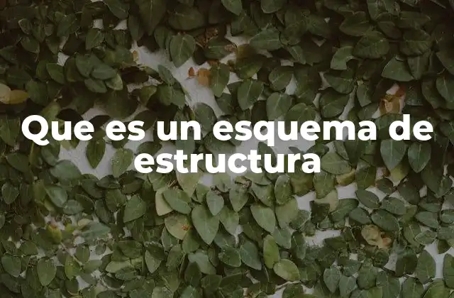 Que es un Esquema de Estructura