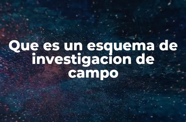 Que es un Esquema de Investigacion de Campo