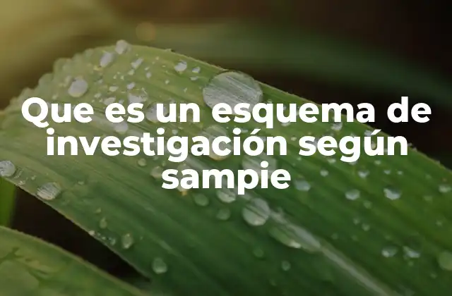 Que es un Esquema de Investigación según Sampie