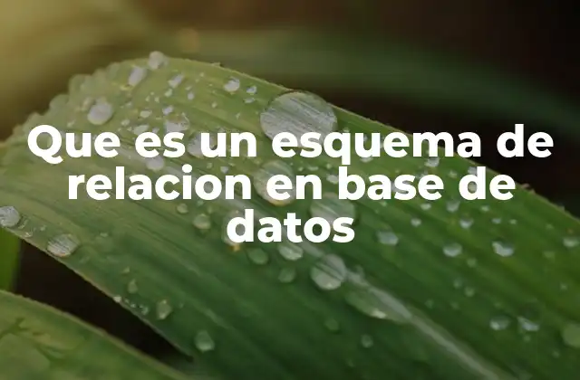 Que es un Esquema de Relacion en Base de Datos 2 La importancia de los esquemas en la estructura de datos