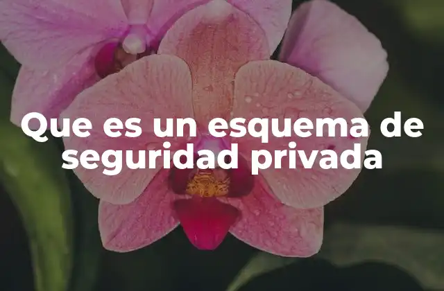 Que es un Esquema de Seguridad Privada