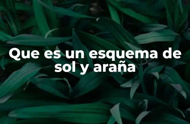 Que es un Esquema de Sol y Araña