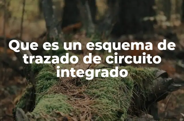 Que es un Esquema de Trazado de Circuito Integrado