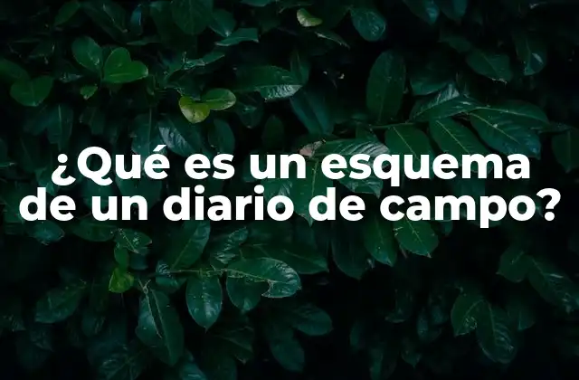 ¿qué es un Esquema de un Diario de Campo?