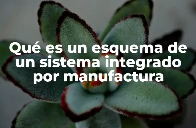 Qué es un Esquema de un Sistema Integrado por Manufactura