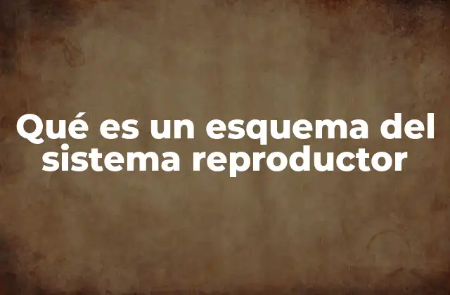 Qué es un Esquema Del Sistema Reproductor