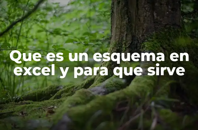 Que es un Esquema en Excel y para que Sirve