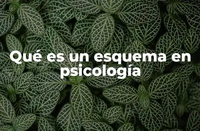 Los esquemas y su papel en la percepción y la memoria