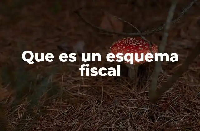 Que es un Esquema Fiscal
