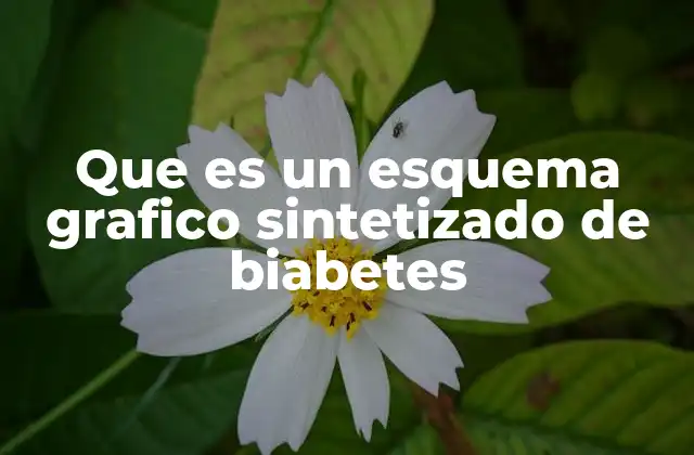 Que es un Esquema Grafico Sintetizado de Biabetes