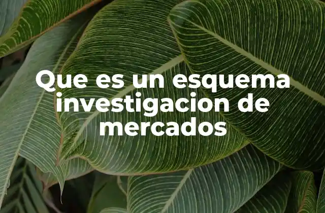 La importancia de estructurar una investigación de mercados