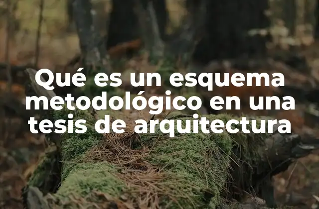 Qué es un Esquema Metodológico en una Tesis de Arquitectura