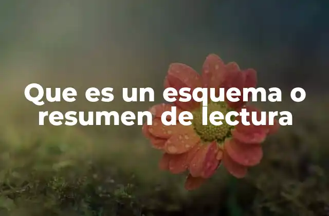 Que es un Esquema o Resumen de Lectura