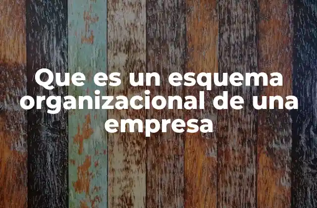 Que es un Esquema Organizacional de una Empresa