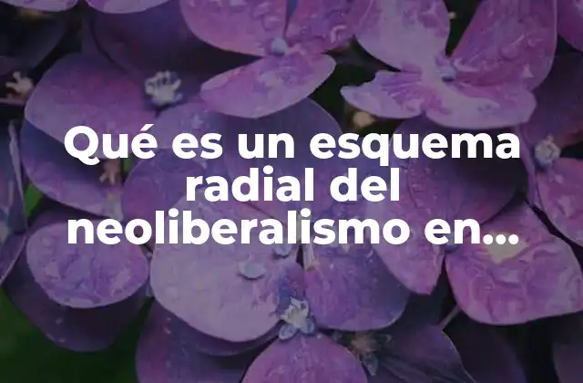 Qué es un Esquema Radial Del Neoliberalismo en México
