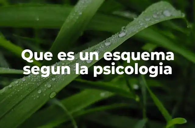 Que es un Esquema Segun la Psicologia