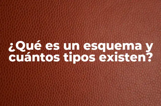 ¿qué es un Esquema y Cuántos Tipos Existen?