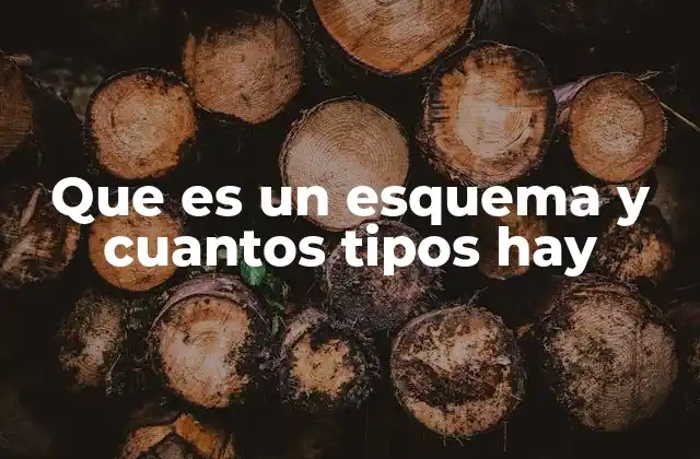 Que es un Esquema y Cuantos Tipos Hay