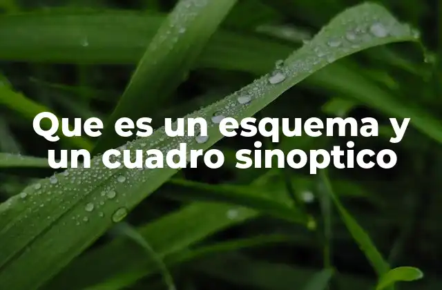 Que es un Esquema y un Cuadro Sinoptico