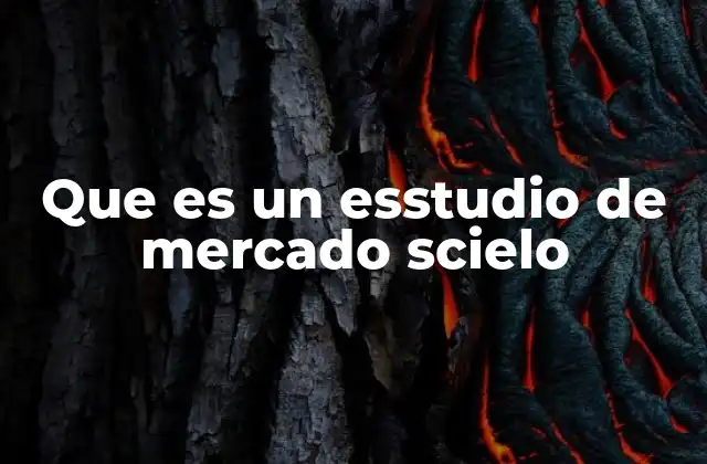 Que es un Esstudio de Mercado Scielo