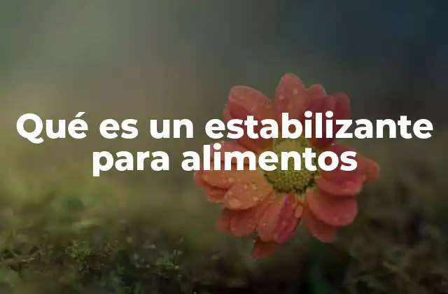 Qué es un Estabilizante para Alimentos