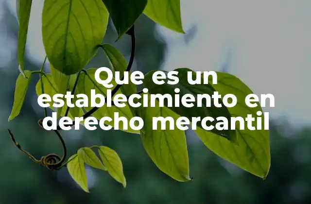 Que es un Establecimiento en Derecho Mercantil
