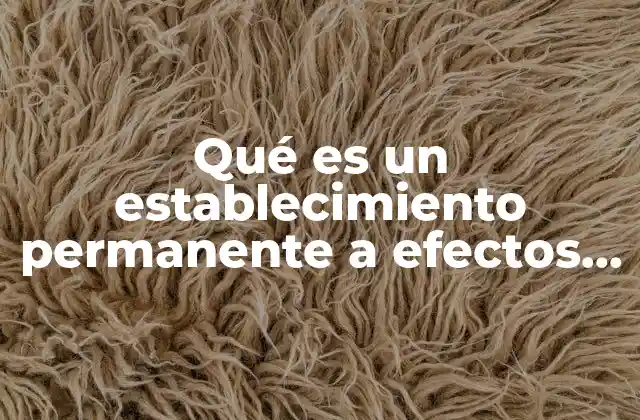Qué es un Establecimiento Permanente a Efectos Fiscales