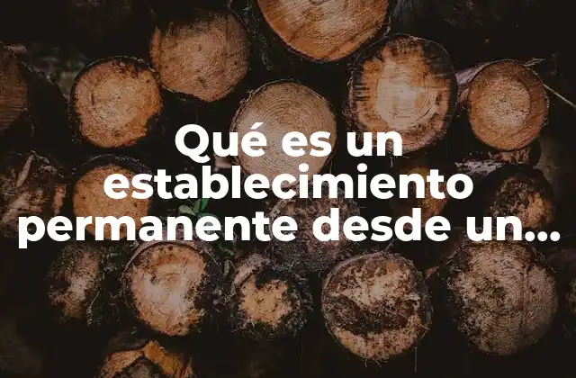 Qué es un Establecimiento Permanente desde un Contexto Fiscal
