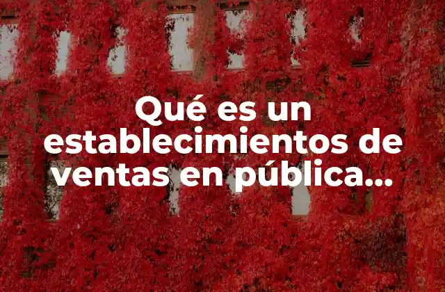 Qué es un Establecimientos de Ventas en Pública Almoneda