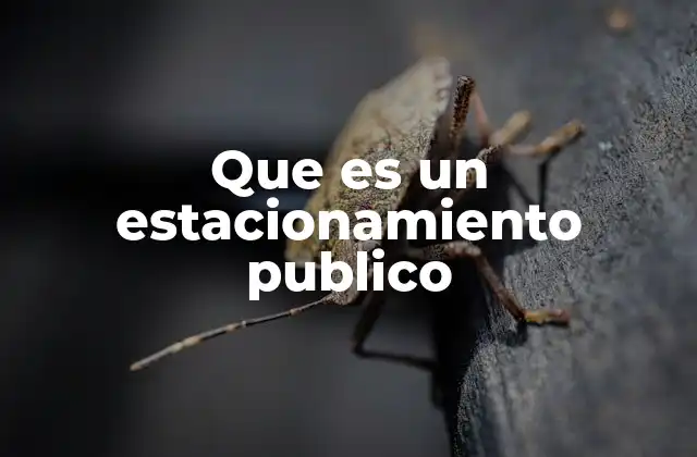 Que es un Estacionamiento Publico