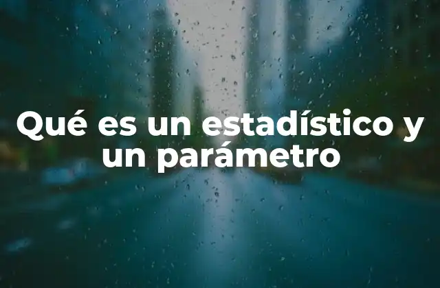 Qué es un Estadístico y un Parámetro