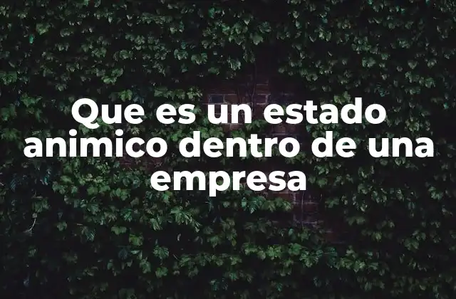Que es un Estado Animico Dentro de una Empresa