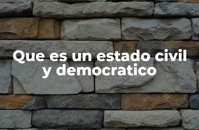 Que es un Estado Civil y Democratico