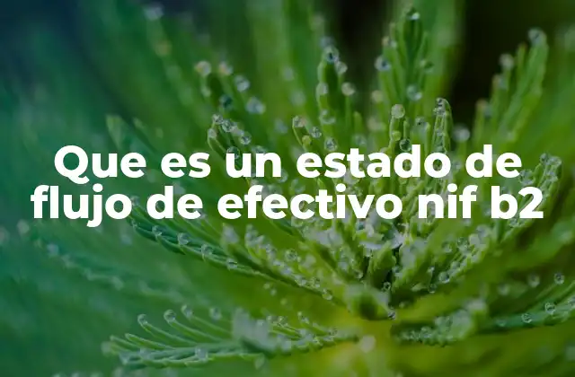 La importancia del estado de flujo de efectivo en la gestión empresarial