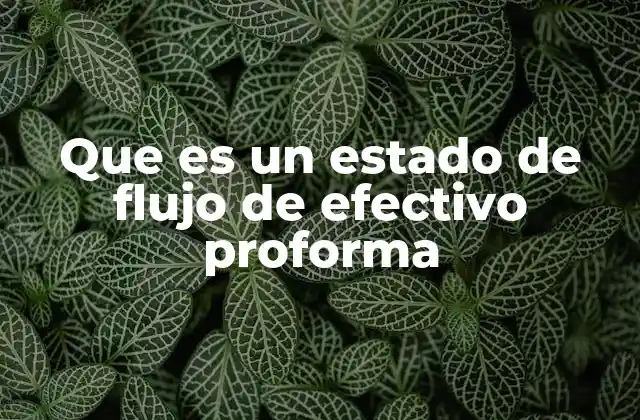 Que es un Estado de Flujo de Efectivo Proforma