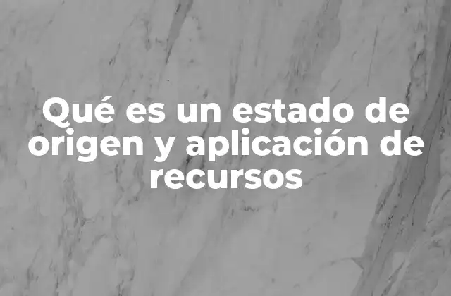 Qué es un Estado de Origen y Aplicación de Recursos
