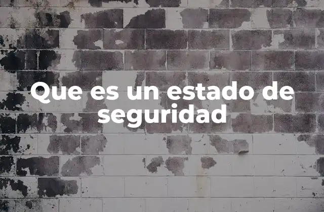 Que es un Estado de Seguridad