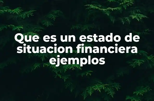 Que es un Estado de Situacion Financiera Ejemplos