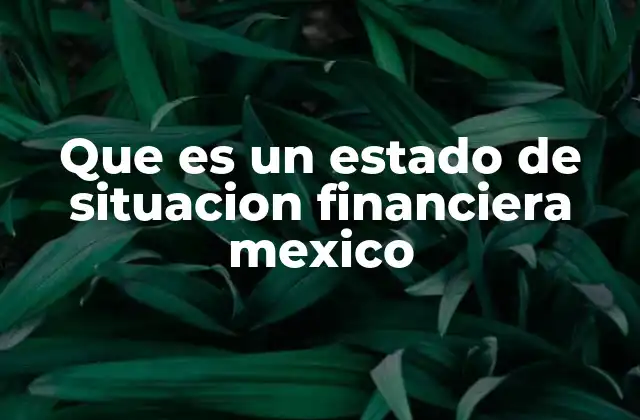 Que es un Estado de Situacion Financiera Mexico 2 Importancia de los documentos contables en la economía mexicana