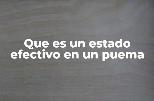 Que es un Estado Efectivo en un Puema