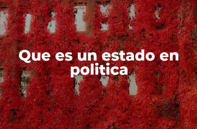Que es un Estado en Politica