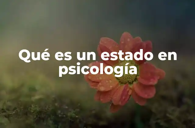 Qué es un Estado en Psicología