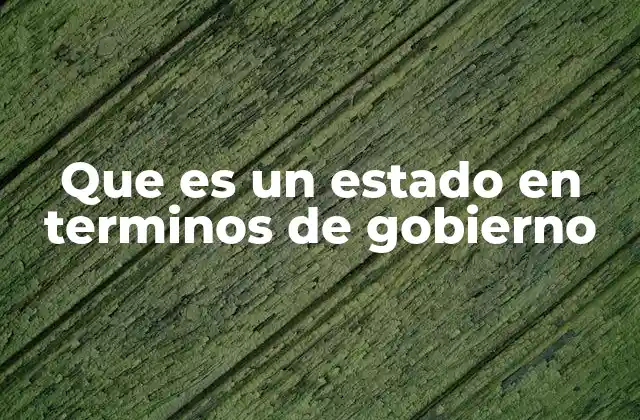 Que es un Estado en Terminos de Gobierno 2 La organización política como base del estado