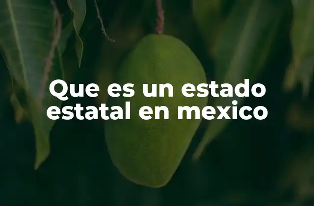 Que es un Estado Estatal en Mexico