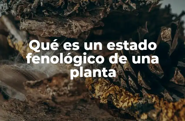 Qué es un Estado Fenológico de una Planta