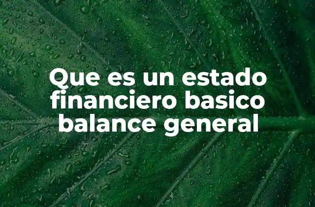 Que es un Estado Financiero Basico Balance General 2 La importancia del balance general en la toma de decisiones empresariales